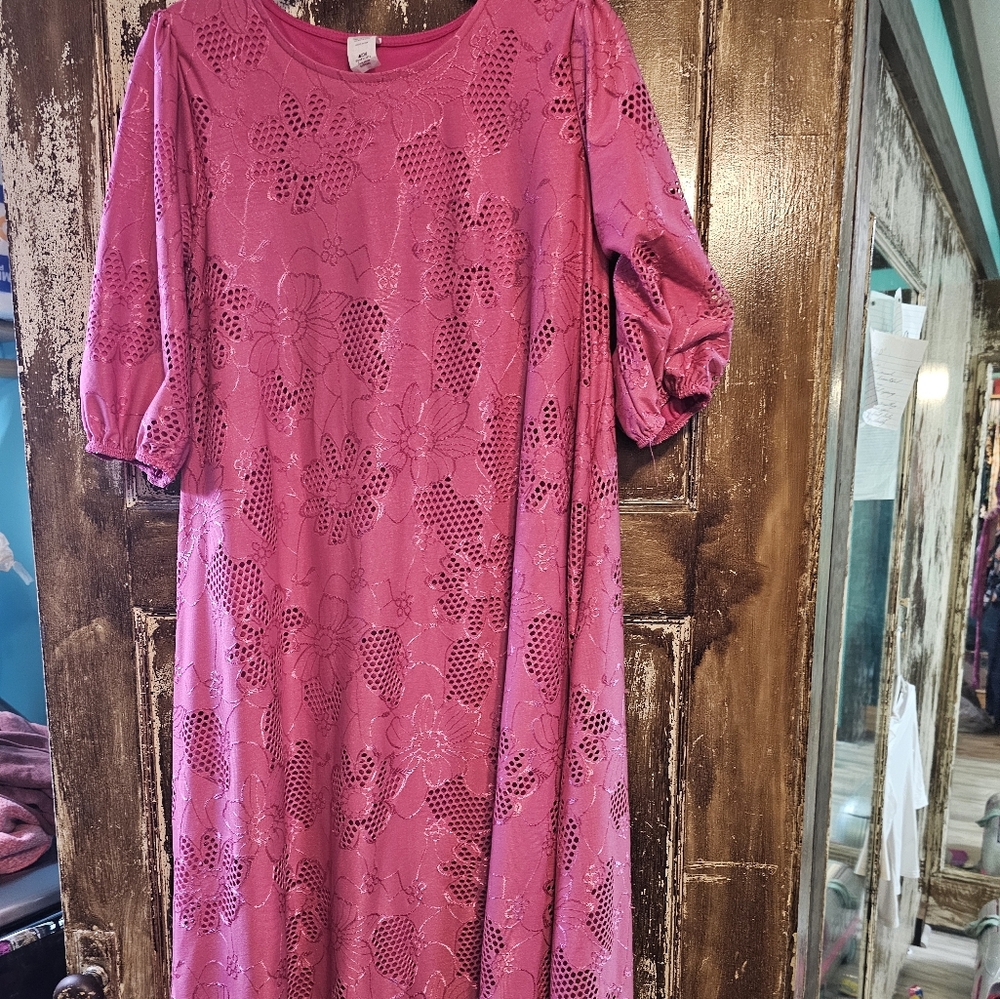 Lace overlay Dress (zadie b's)